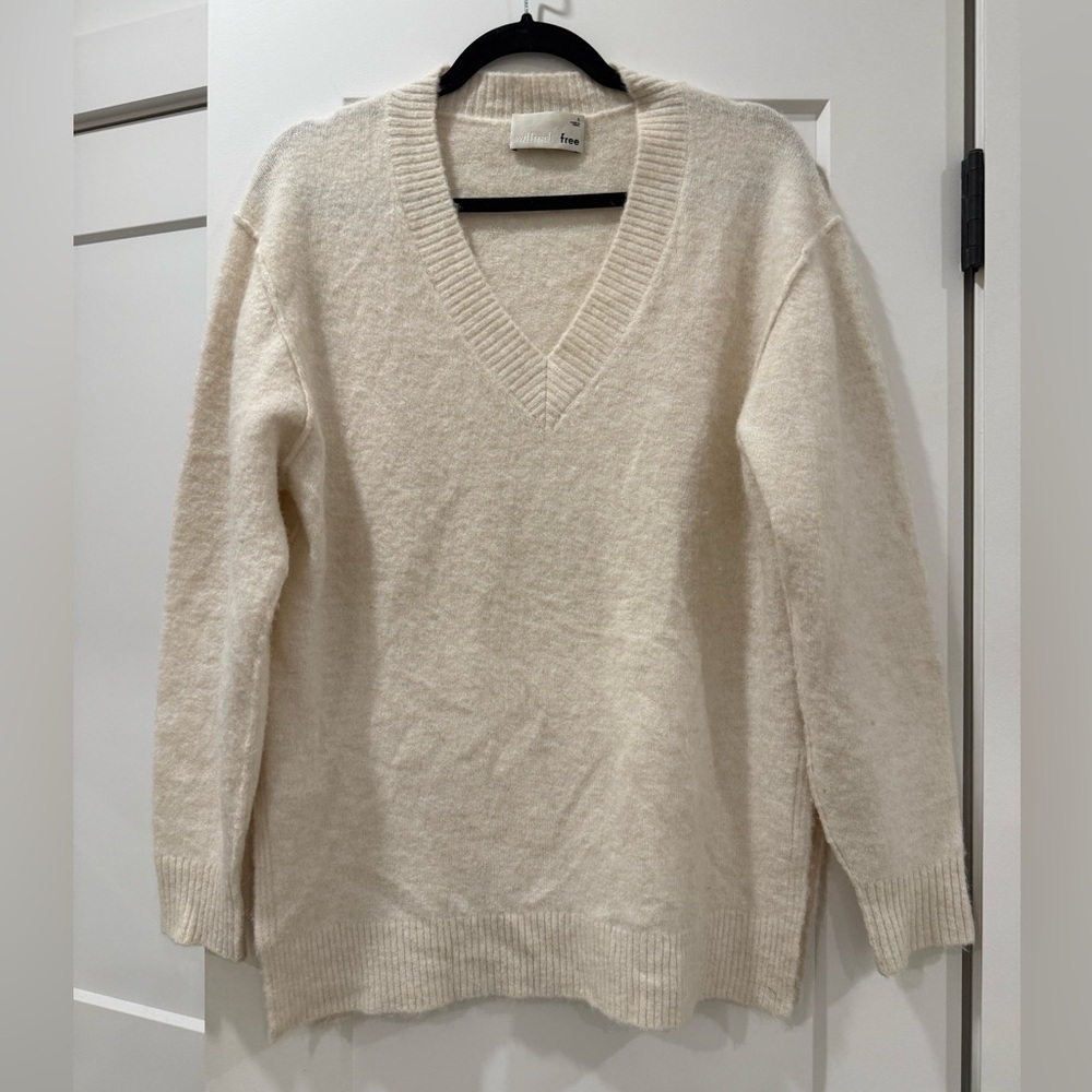 Wilfred Free Aritzia V-neck Sweater (w/ piling & small mark)